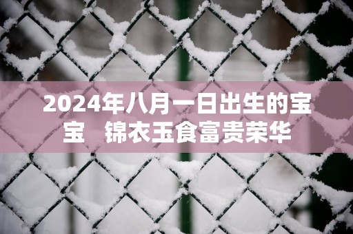 2025年八月一日出生的宝宝   锦衣玉食富贵荣华