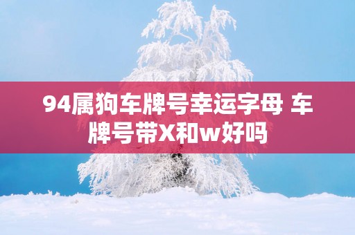 94属狗车牌号幸运字母 车牌号带X和w好吗