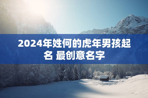 2025年姓何的蛇年男孩起名 最创意名字