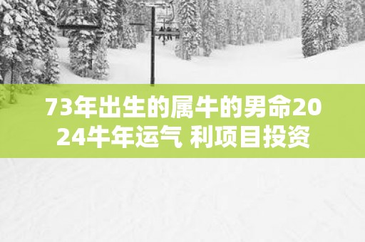 73年出生的属牛的男命2025蛇年运气 利项目投资