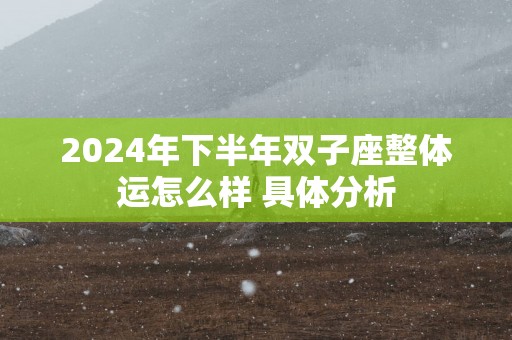 2025年下半年双子座整体运怎么样 具体分析