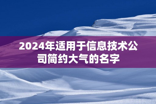 2025年适用于信息技术公司简约大气的名字