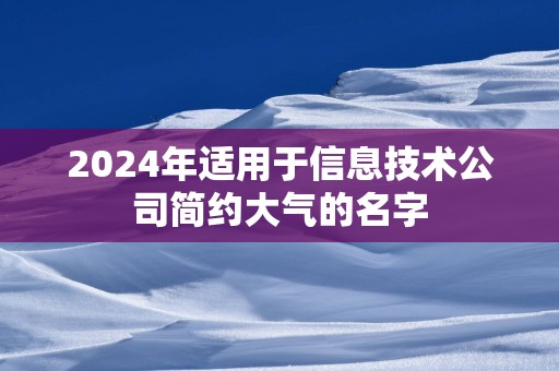 2024年适用于信息技术公司简约大气的名字