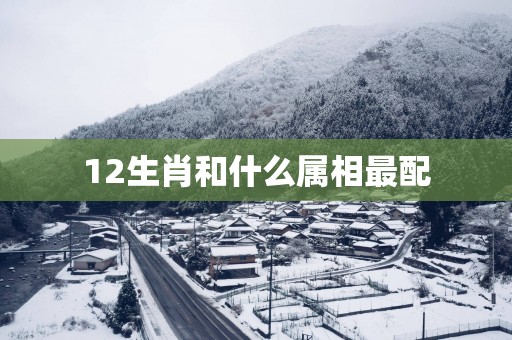 12生肖和什么属相最配