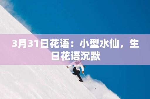 3月31日花语：小型水仙，生日花语沉默