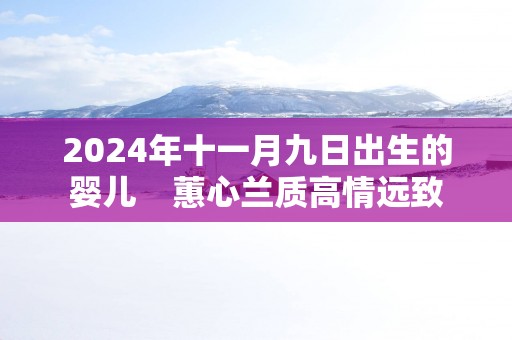 2025年十一月九日出生的婴儿    蕙心兰质高情远致