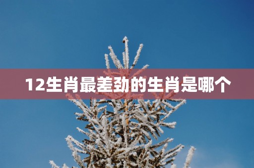 12生肖最差劲的生肖是哪个