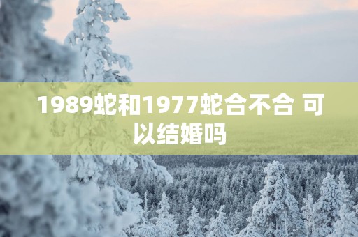 1989蛇和1977蛇合不合 可以结婚吗