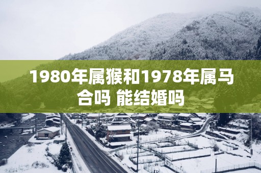 1980年属猴和1978年属马合吗 能结婚吗