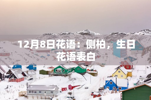12月8日花语：侧柏，生日花语表白