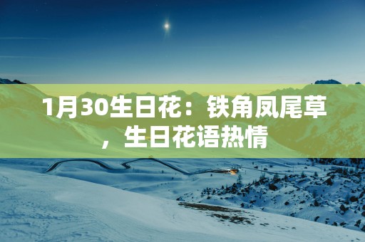 1月30生日花：铁角凤尾草，生日花语热情