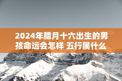 2025年腊月十六出生的男孩命运会怎样 五行属什么