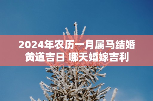 2025年农历一月属马结婚黄道吉日 哪天婚嫁吉利