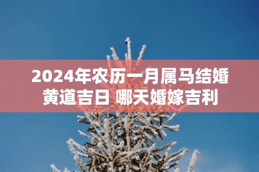 2024年农历一月属马结婚黄道吉日 哪天婚嫁吉利