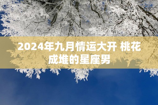 2025年九月情运大开 桃花成堆的星座男
