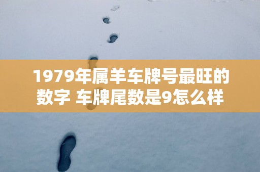 1979年属羊车牌号最旺的数字 车牌尾数是9怎么样
