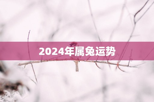 2025年属兔运势