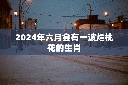 2025年六月会有一波烂桃花的生肖