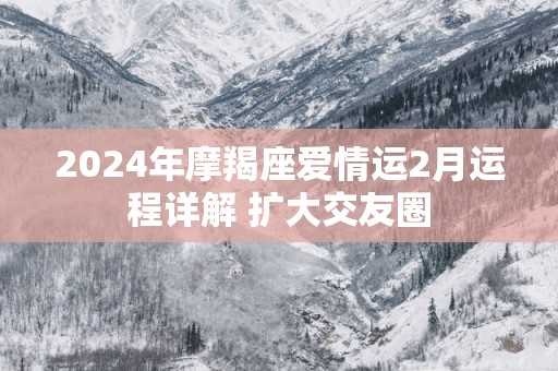 2025年摩羯座爱情运2月运程详解 扩大交友圈