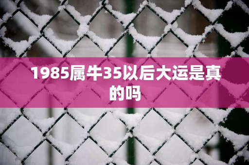 1985属牛35以后大运是真的吗