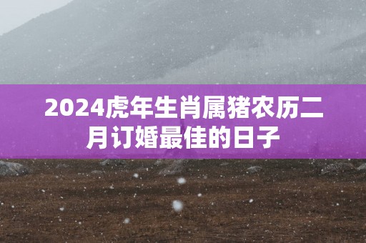 2025蛇年生肖属猪农历二月订婚最佳的日子