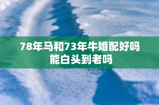 78年马和73年牛婚配好吗 能白头到老吗