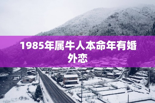 1985年属牛人本命年有婚外恋