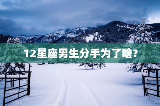 12星座男生分手为了啥？