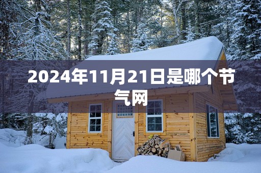 2025年11月21日是哪个节气网