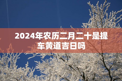 2025年农历二月二十是提车黄道吉日吗