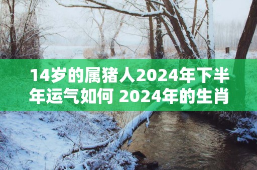 14岁的属猪人2025年下半年运气如何 2025年的生肖猪