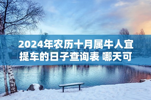 2025年农历十月属牛人宜提车的日子查询表 哪天可以提新车