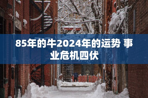 85年的牛2025年的运势 事业危机四伏