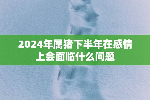 2025年属猪下半年在感情上会面临什么问题