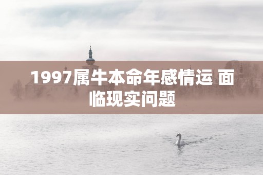 1997属牛本命年感情运 面临现实问题 1997属牛本命年感情运 面临现实问题