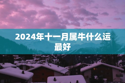 2025年十一月属牛什么运最好