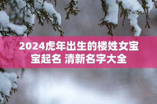 2025蛇年出生的楼姓女宝宝起名 清新名字大全