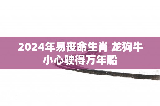 2025年易丧命生肖 龙狗牛小心驶得万年船