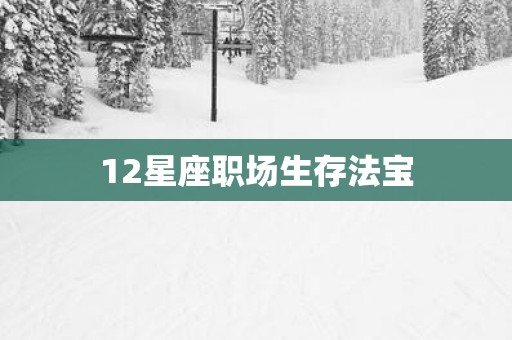 12星座职场生存法宝