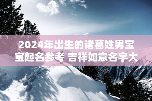 2025年出生的诸葛姓男宝宝起名参考 吉祥如意名字大全