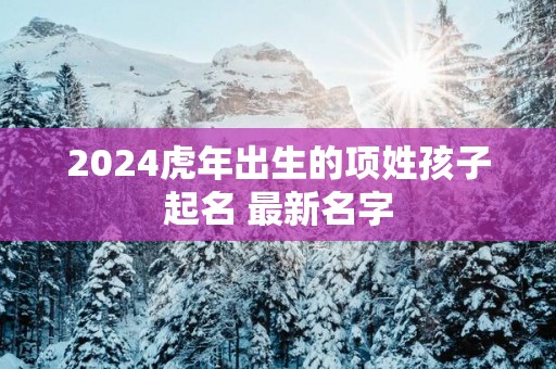 2025蛇年出生的项姓孩子起名 最新名字
