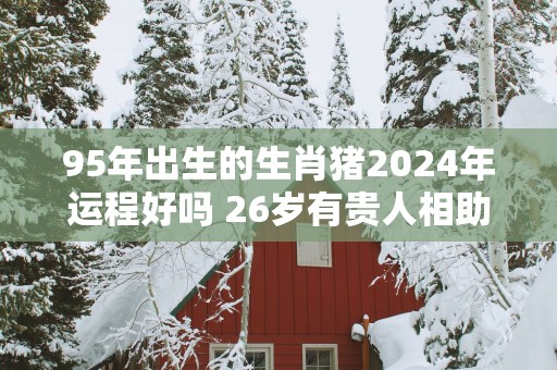 95年出生的生肖猪2025年运程好吗 26岁有贵人相助 95年出生的生肖猪2025年运程好吗 26岁有贵人相助