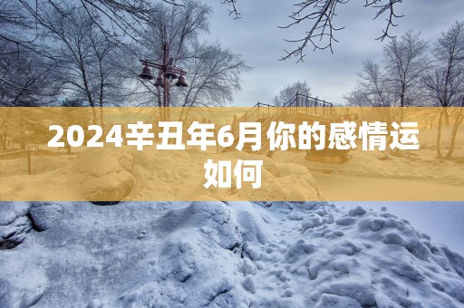 2025辛丑年6月你的感情运如何