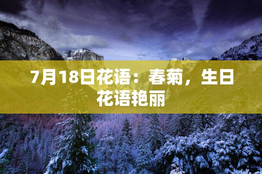 7月18日花语：春菊，生日花语艳丽