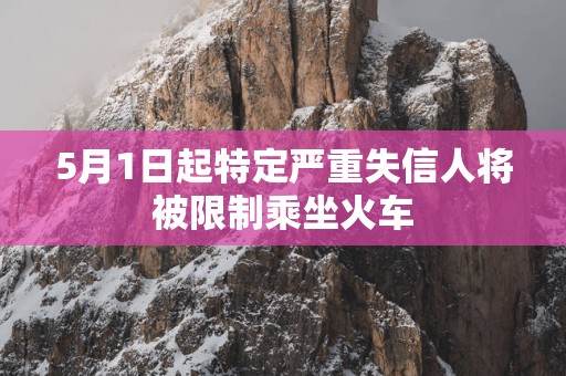 5月1日起特定严重失信人将被限制乘坐火车