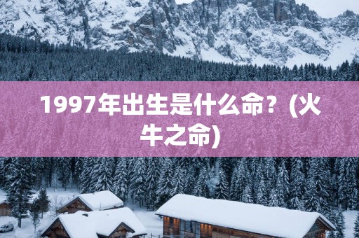 1997年出生是什么命？(火牛之命)