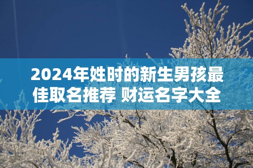 2025年姓时的新生男孩最佳取名推荐 财运名字大全