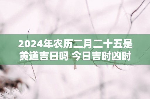 2025年农历二月二十五是黄道吉日吗 今日吉时凶时查询