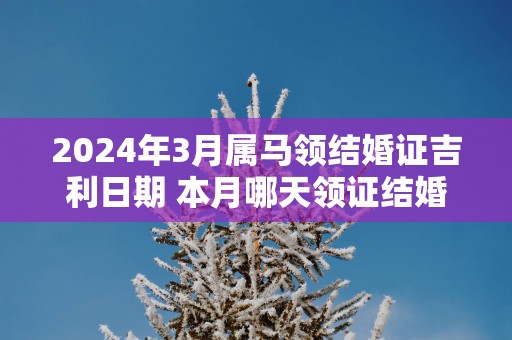 2025年3月属马领结婚证吉利日期 本月哪天领证结婚好