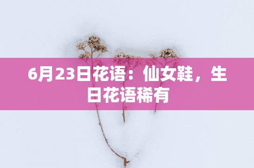 6月23日花语：仙女鞋，生日花语稀有